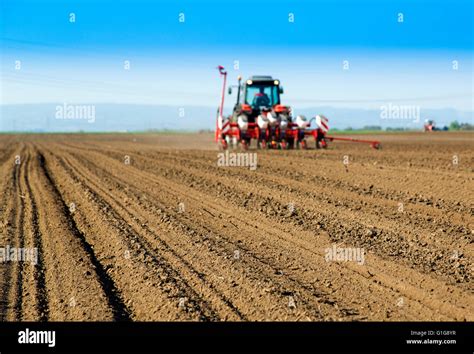 scattering seeds into fields