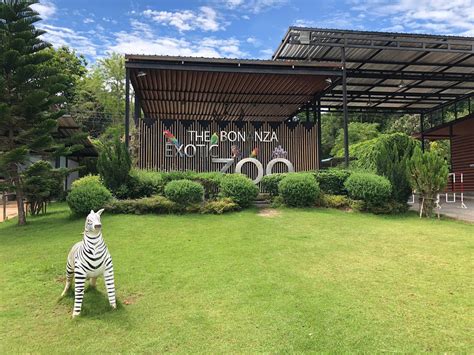 Keajaiban Petualangan di Chokchai Farm dan Bonanza Exotic Zoo