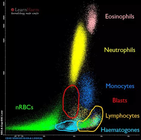 Gating Strategies in Flow Cytometry: Forward vs Side Scatter, Doublet Exclusion, and More