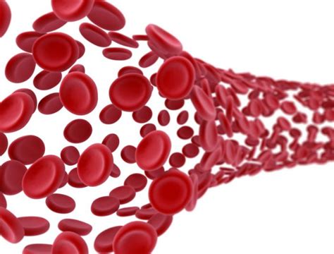 Scattering of Light by a Red Blood Cell: The Science Behind Scattered Blood