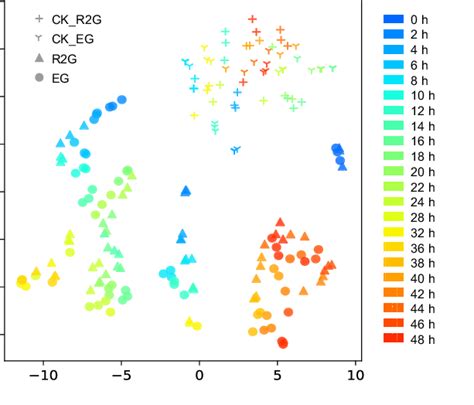 Mengapa T-SNE tidak dapat memisahkan kelas yang linear