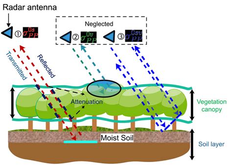 Perbedaan Antara Area Backscatter dengan Scattering Volume dalam Akustik Kelautan