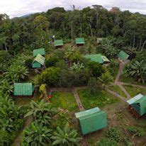 Penjelasan tentang Papaya Eco Lodge dan Bonanza Lodge