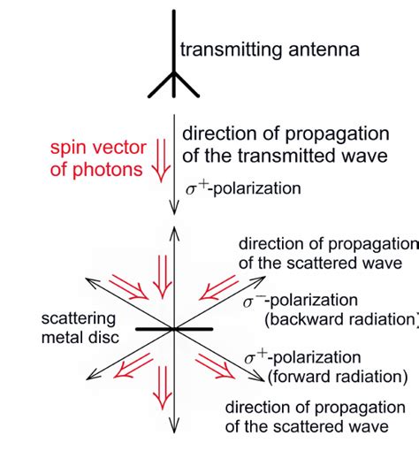 Penjelasan Scatter Radiation: Risiko, Pencegahan, dan Proteksi