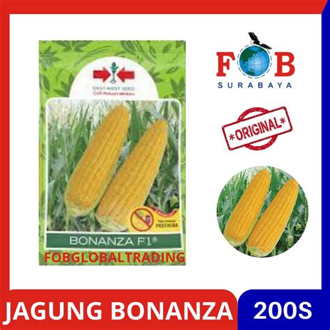 Cara Menanam Jagung Manis Bonanza F1