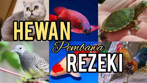 7 Binatang Pembawa Keberuntungan dan Rezeki yang Dipercaya dalam Budaya Jawa