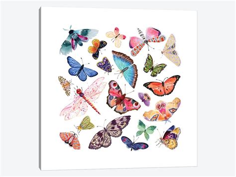 butterfly scatter art