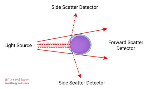 Pengukuran Sinar dan Scatter dalam FLOW CYTOMETRY