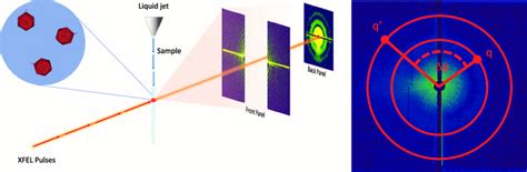 Struktur Biologi: Fluctuation X-ray Scattering