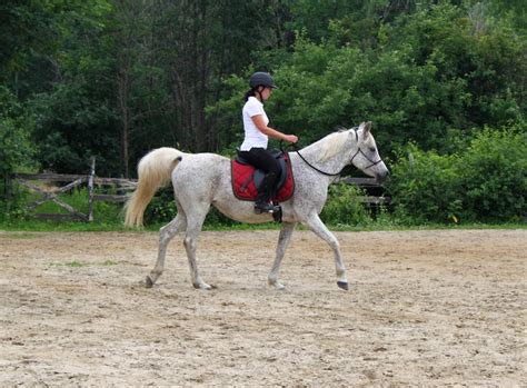 Centre Équestre Équitation Bonanza – Destination Touristique