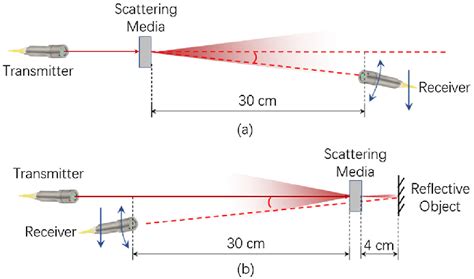 Pengamatan Cassini terhadap Sabuk Saturn: Efek Forward Scattering