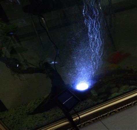 Lampu LED: Solusi Pencahayaan Ideal untuk Kolam Ikan Anda