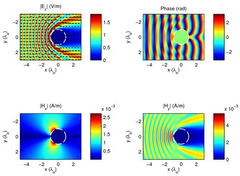 Resonance Structure in Fish Echoes: A Review and Modeling Approach