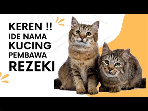 Membawa Keberuntungan: 5 Jenis Kucing yang Dipercaya sebagai Simbol Nasib Baik