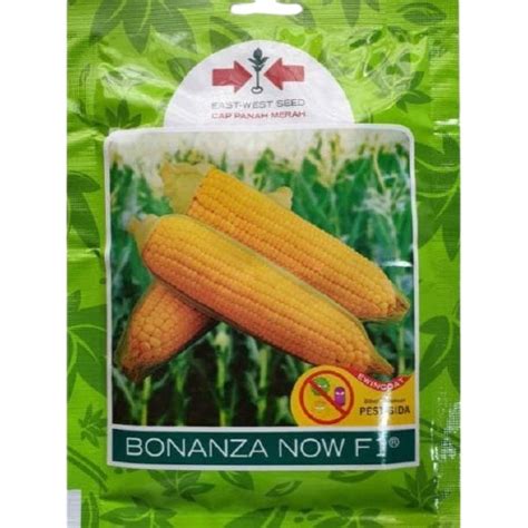 Jual Bibit Jagung Manis Bonanza F1 1800 Terbaru – Jul 2024