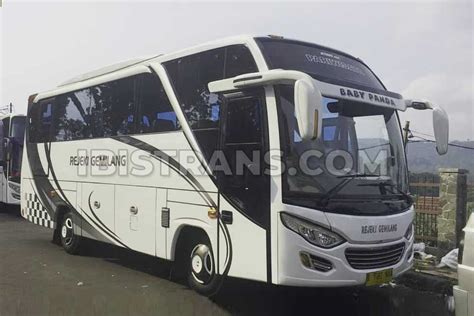 Penyewaan Bus Pariwisata untuk Acara Anda