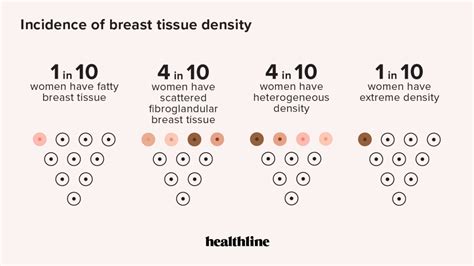 Fibroglandular Density: Scattered, Concerns & What It Means