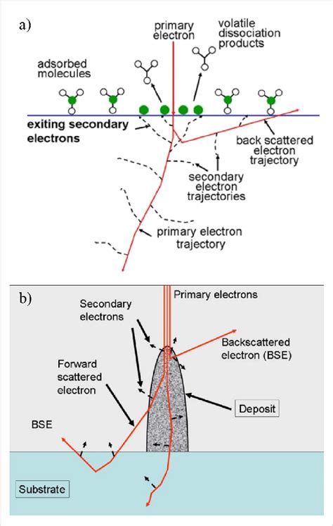 Tipe Elastic Scattering: Bentuk dan Fungsi