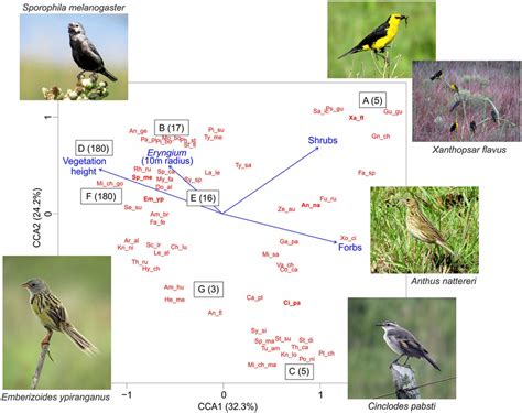 Menguak Tabungan Ilmu Pengetahuan dengan Grafik Scattered Bird