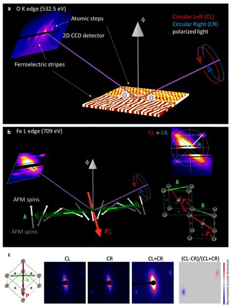 Resonant Elastic X-ray Scattering: A Powerful Tool in Studying Complex Materials