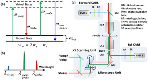 Teknik Coherent Anti-Stokes Raman Scattering (CARS) untuk Pengukuran Suhu