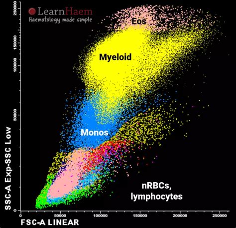 Pengertian Histogram dan Scattergram pada Analisis Hematologi dengan Medonic M51