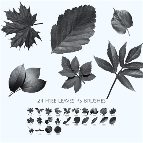 Membuat Brush Leaf di Photoshop