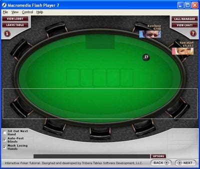 Cara Setting Flash Player Game Texas Holdem Poker