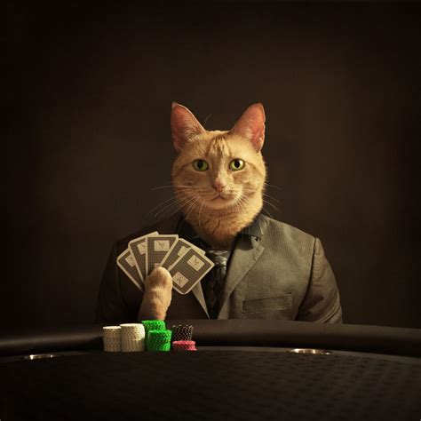 Animals Playing Poker: An Unconventional Form of Entertainment