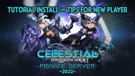 Berbagai Opsi Dragon Nest Private Server: A Review