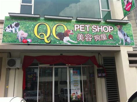 Pet Shop di Green Lake: Tempat Berkumpulnya Anak-Anak dan Mereka yang Hobi Binatang