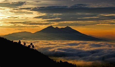 Taman Nasional Gunung Halimun Salak: Kawasan Alam yang Menyimpan Banyak Misteri