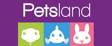 Pet’s Land Green Lake: Membaca Hati Anjing dengan Teknologi Revolusioner